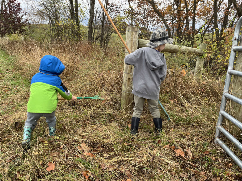 Henry and William Hagenbuch Cemetery Cleanup