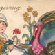 Thanksgiving Greetings Postcard