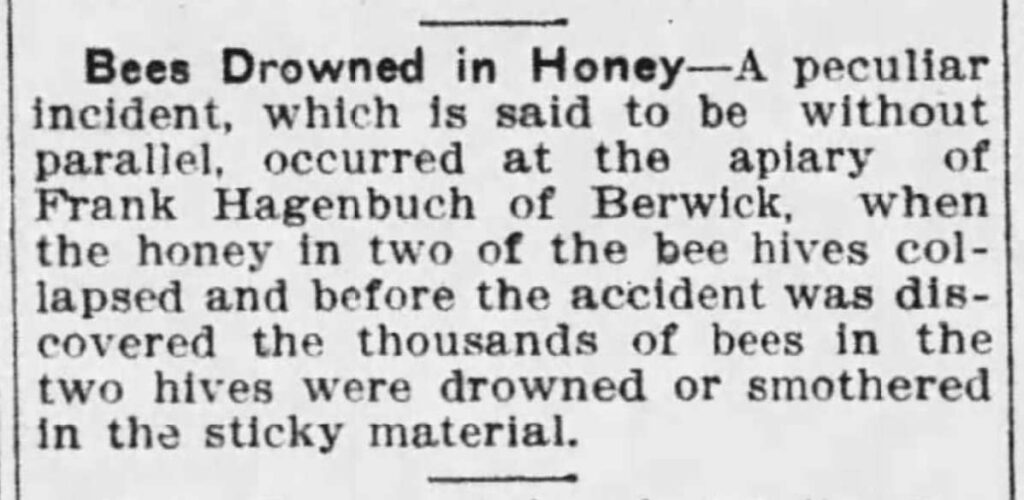 Frank Hagenbuch Drowned Bees 1907