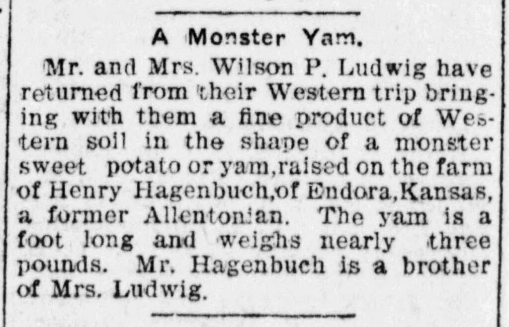 Henry J. Hagenbuch Yam 1904