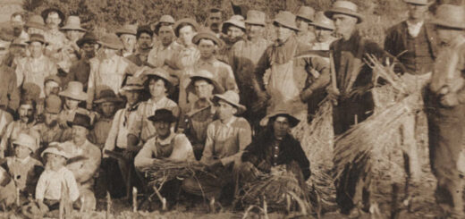 Harvest Farmers 1900 Detail