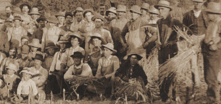 Harvest Farmers 1900 Detail