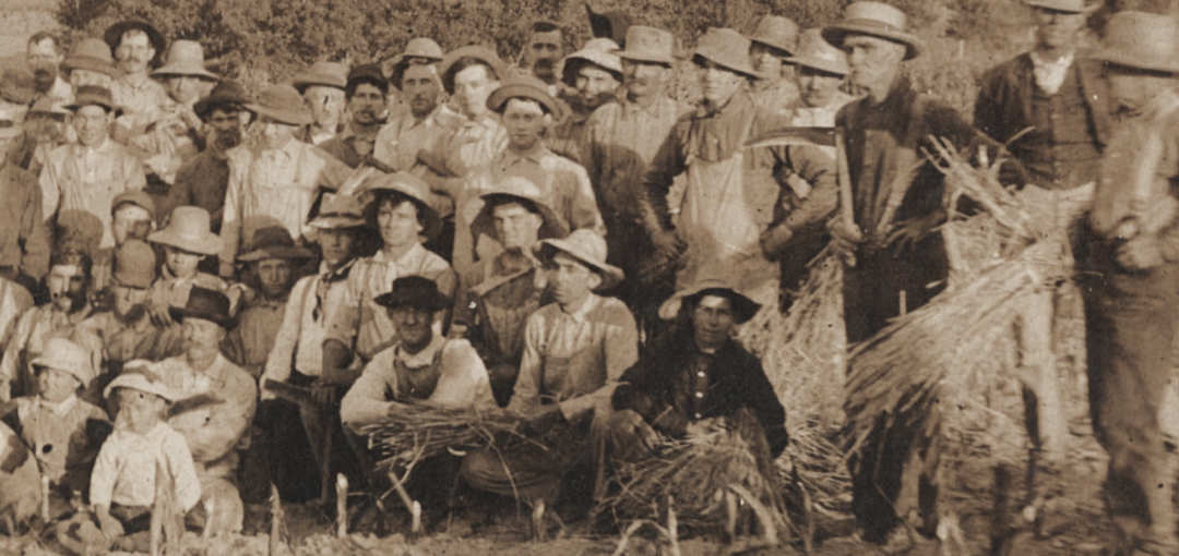 Harvest Farmers 1900 Detail